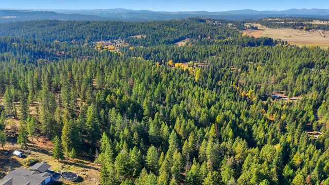 30324 N Elk Chattaroy Rd, Chattaroy, WA 99003