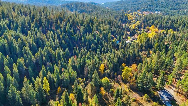30324 N Elk Chattaroy Rd, Chattaroy, WA 99003