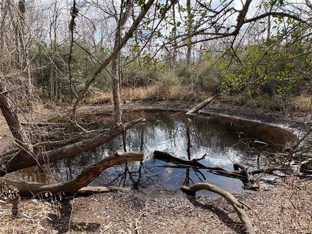 1649 Stone Street, Bedias, TX 77831