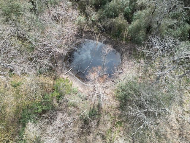 1649 Stone Street, Bedias, TX 77831