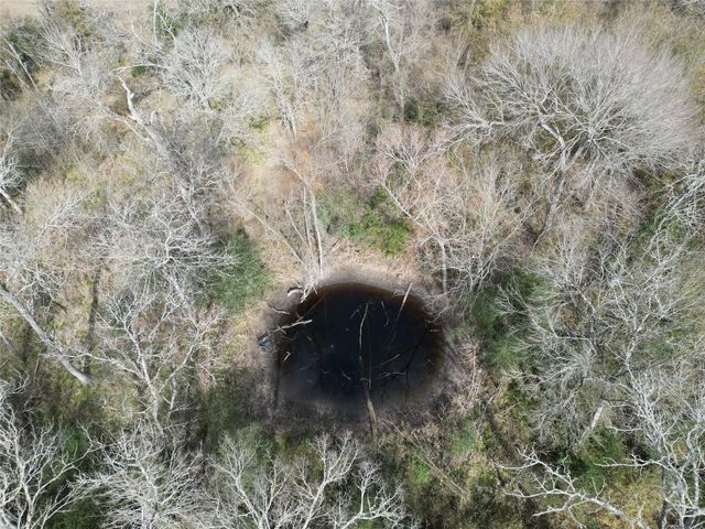 1649 Stone Street, Bedias, TX 77831