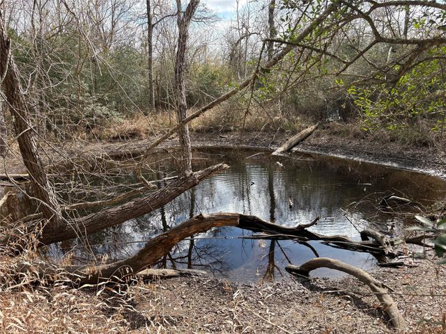 1649 Stone Street, Bedias, TX 77831