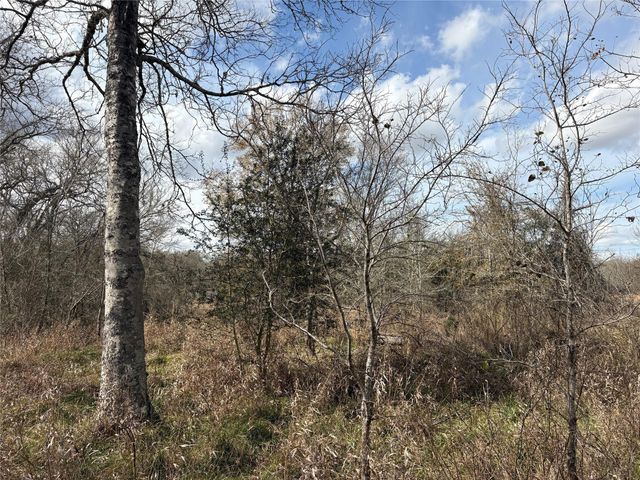 1649 Stone Street, Bedias, TX 77831