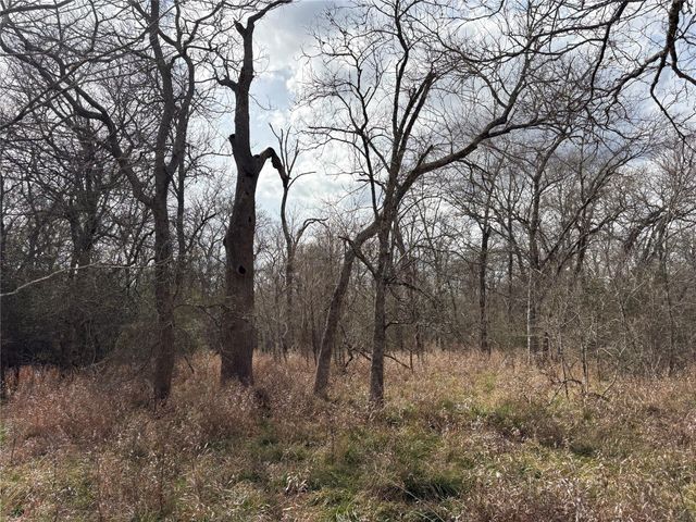 1649 Stone Street, Bedias, TX 77831