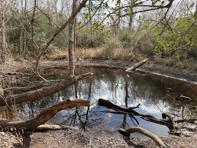 1649 Stone Street, Bedias, TX 77831