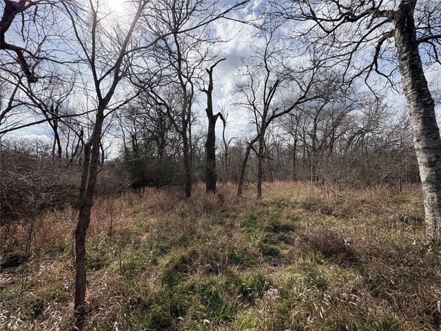 1649 Stone Street, Bedias, TX 77831