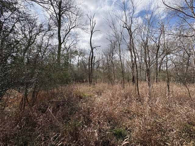 1649 Stone Street, Bedias, TX 77831