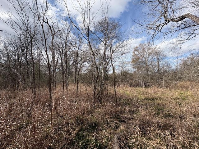 1649 Stone Street, Bedias, TX 77831