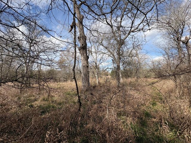 1649 Stone Street, Bedias, TX 77831