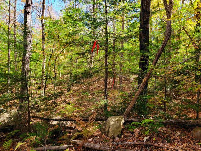 200 Gale Road, Gilmanton, NH 03237