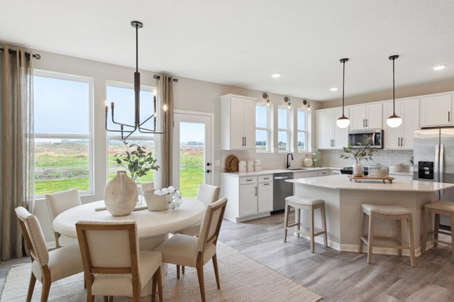 14928 Avondale View, Rosemount, MN 55068