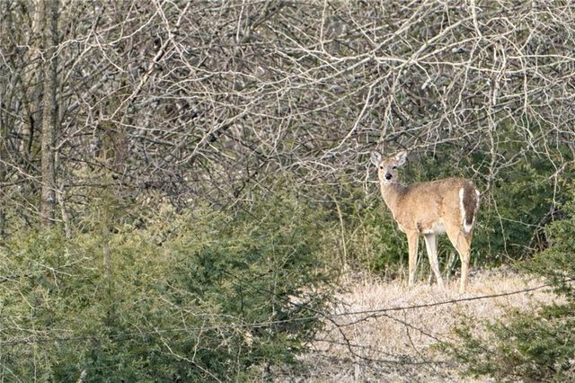 1044 SW 101St Road, Chilhowee, MO 64733