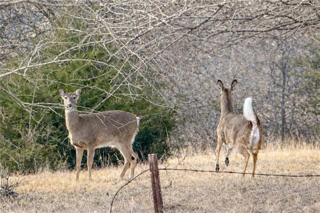 1044 SW 101St Road, Chilhowee, MO 64733