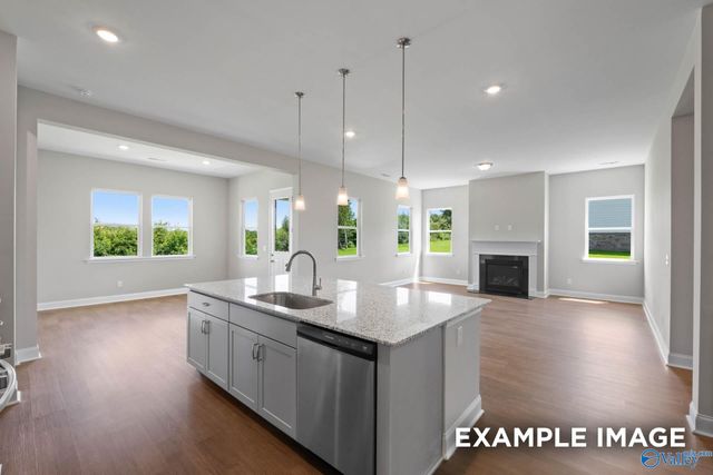 8120 Goose Ridge Drive, Owens Cross Roads, AL 35763