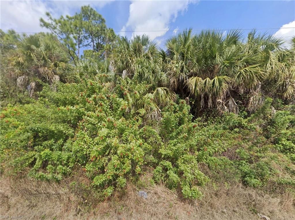 933 Asther ST E, LEHIGH ACRES, FL 33974 — photo 2