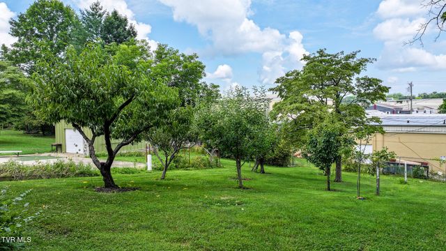 703 Franklin Street, Greeneville, TN 37745