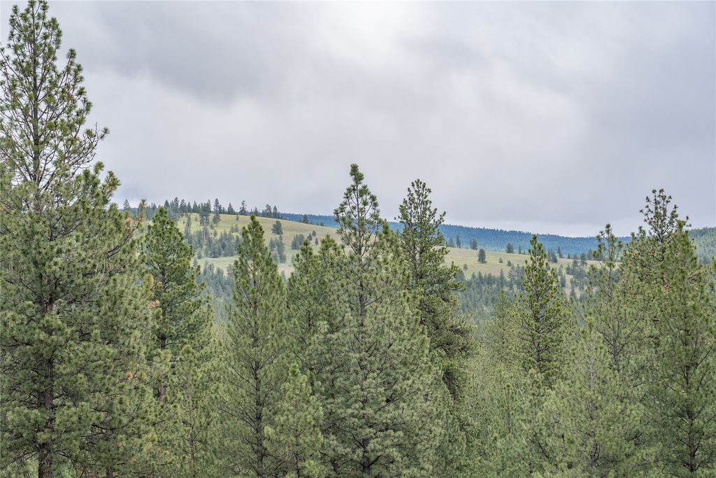 3605 Hubbart Dam Road, Marion, MT 59925 photo 100