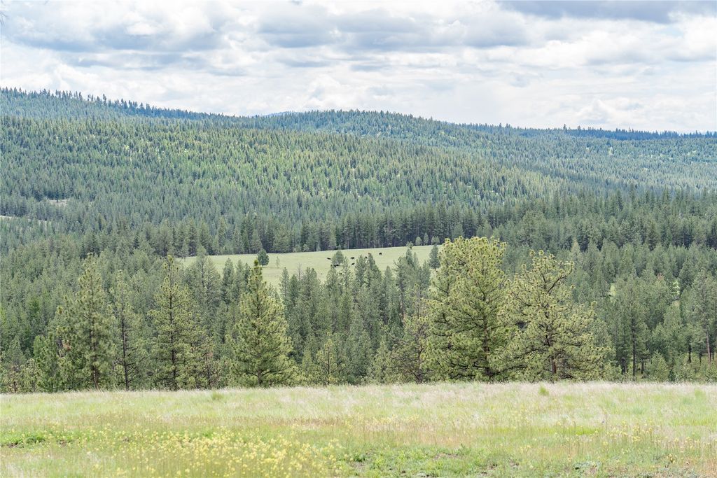 3605 Hubbart Dam Road, Marion, MT 59925 photo 101