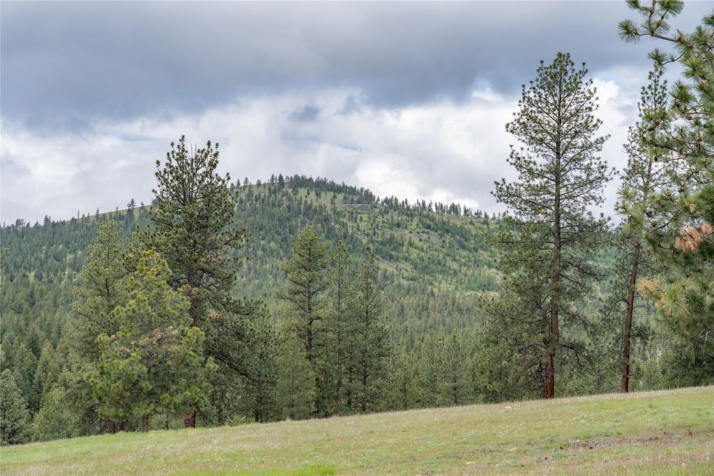 3605 Hubbart Dam Road, Marion, MT 59925 photo 102