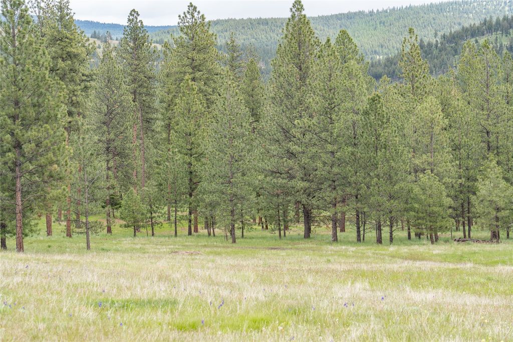 3605 Hubbart Dam Road, Marion, MT 59925 photo 103