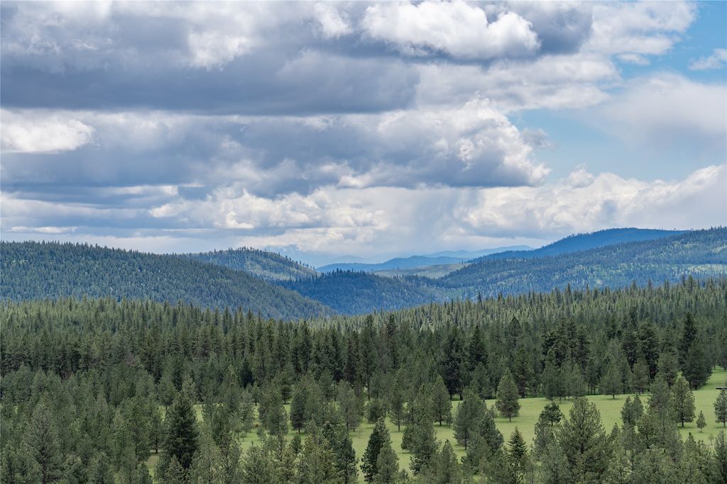 3605 Hubbart Dam Road, Marion, MT 59925 photo 46