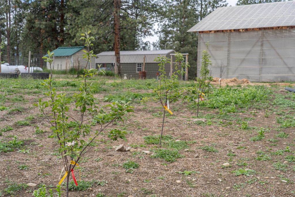 3605 Hubbart Dam Road, Marion, MT 59925 photo 70