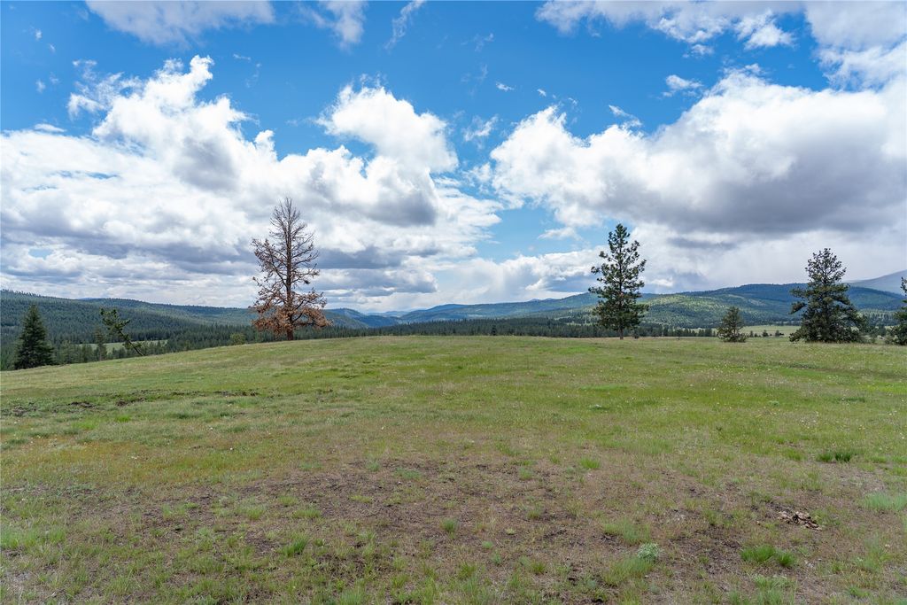 3605 Hubbart Dam Road, Marion, MT 59925 photo 99