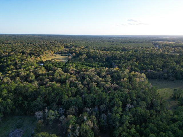 450 Dove Creek Dr, Coldspring, TX 77331