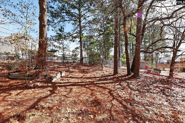 215 Berry Ridge Circle, Columbia, SC 29229