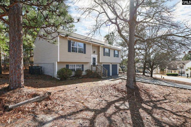 215 Berry Ridge Circle, Columbia, SC 29229