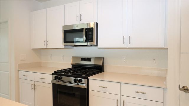 9557 CARABINER WAY, Land O Lakes, FL 34637