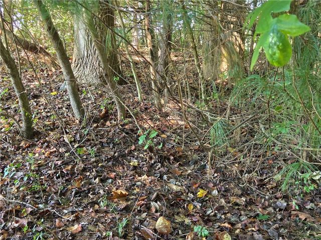 TBD Belle Ridge Street, North Wilkesboro, NC 28659