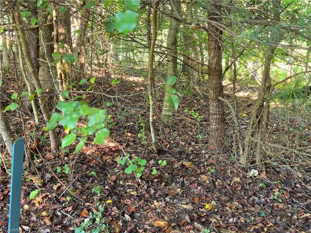 TBD Belle Ridge Street, North Wilkesboro, NC 28659