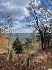 0 LAKEVIEW RIDGE, Vandiver, AL 35176