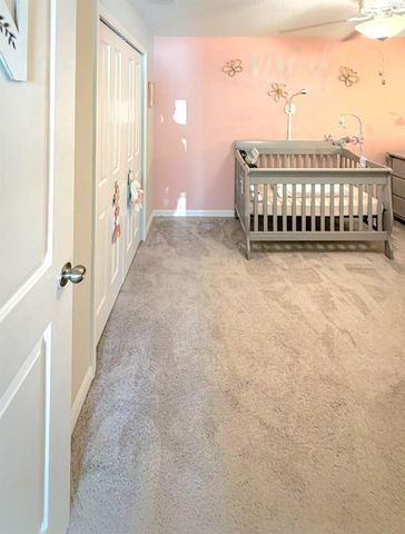 10316 SHADY PRESERVE DRIVE, Riverview, FL 33578