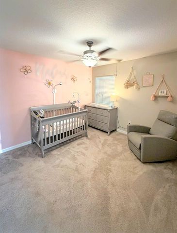 10316 SHADY PRESERVE DRIVE, Riverview, FL 33578