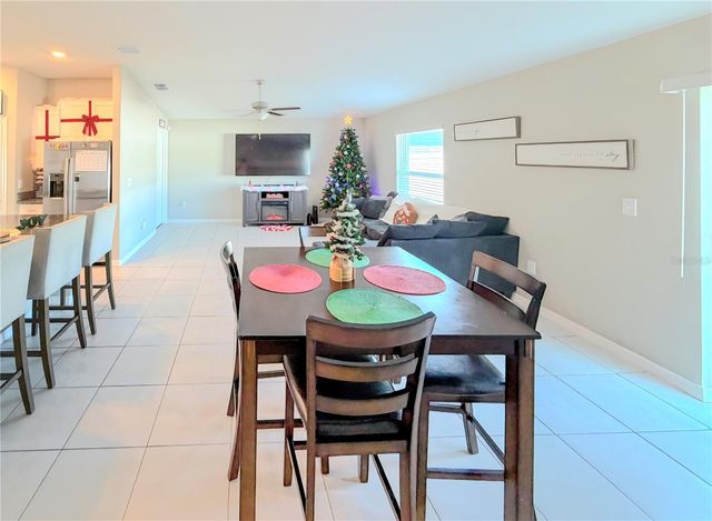 10316 SHADY PRESERVE DRIVE, Riverview, FL 33578