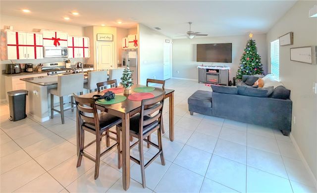 10316 SHADY PRESERVE DRIVE, Riverview, FL 33578