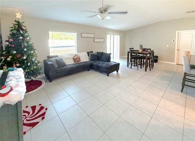 10316 SHADY PRESERVE DRIVE, Riverview, FL 33578