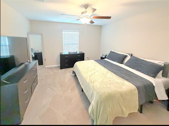 10316 SHADY PRESERVE DRIVE, Riverview, FL 33578