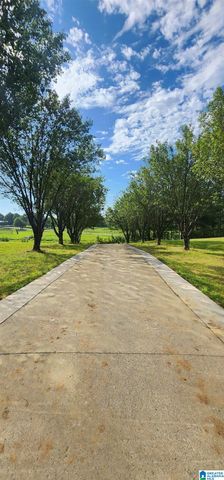 3606 HICKS ROAD, Oneonta, AL 35121