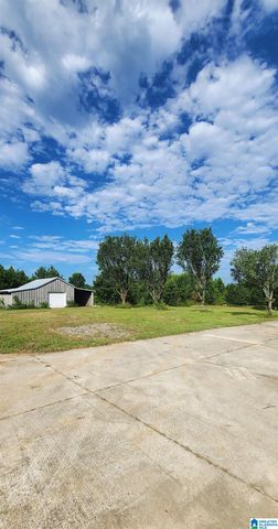 3606 HICKS ROAD, Oneonta, AL 35121