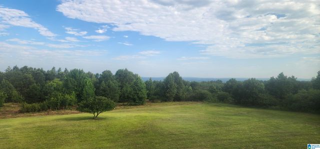 3606 HICKS ROAD, Oneonta, AL 35121