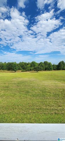 3606 HICKS ROAD, Oneonta, AL 35121