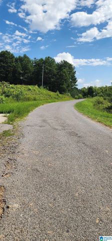 3606 HICKS ROAD, Oneonta, AL 35121