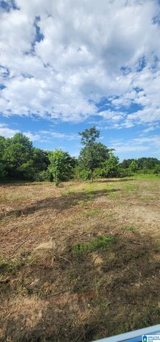 3606 HICKS ROAD, Oneonta, AL 35121
