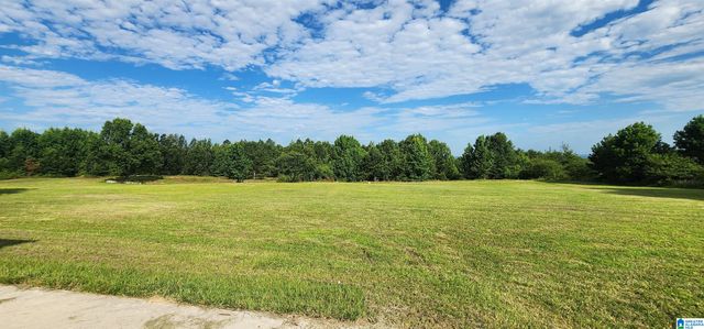 3606 HICKS ROAD, Oneonta, AL 35121