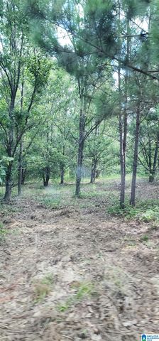 3606 HICKS ROAD, Oneonta, AL 35121