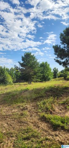 3606 HICKS ROAD, Oneonta, AL 35121