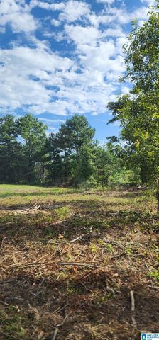 3606 HICKS ROAD, Oneonta, AL 35121